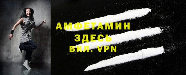 ECSTASY Алзамай