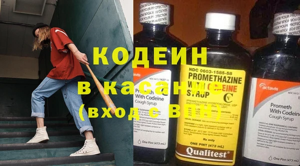ECSTASY Алзамай