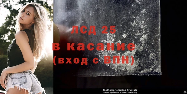 ECSTASY Алзамай